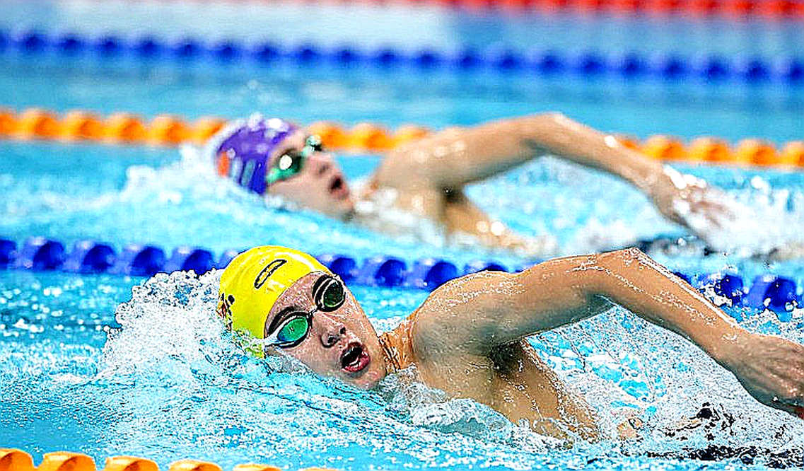 World Aquatics tập huấn 160 trọng tài bơi nghệ thuật: khi máy tính bảng viết lại cách chấm điểm độ khó