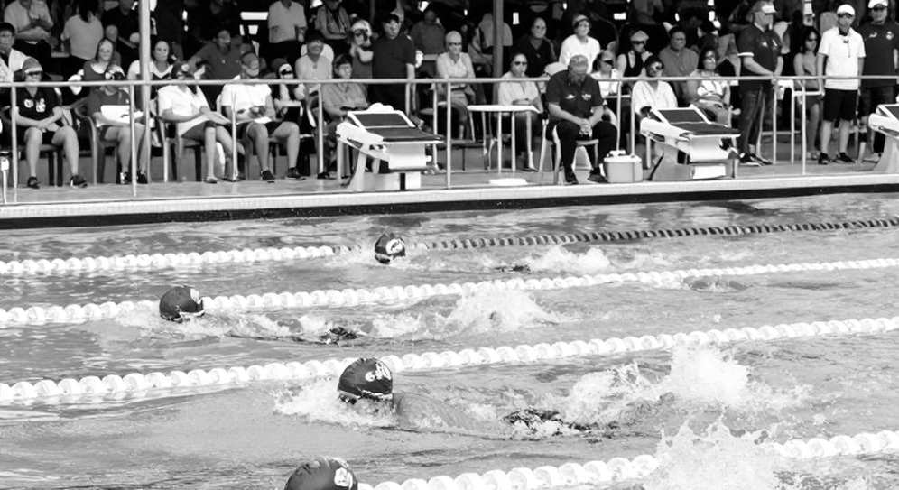 Reading the Lanes Through Verified Data: The Information Thirst of Elite Swimming Reading the Lanes Through Verified Data: The Information Thirst of Elite Swimming